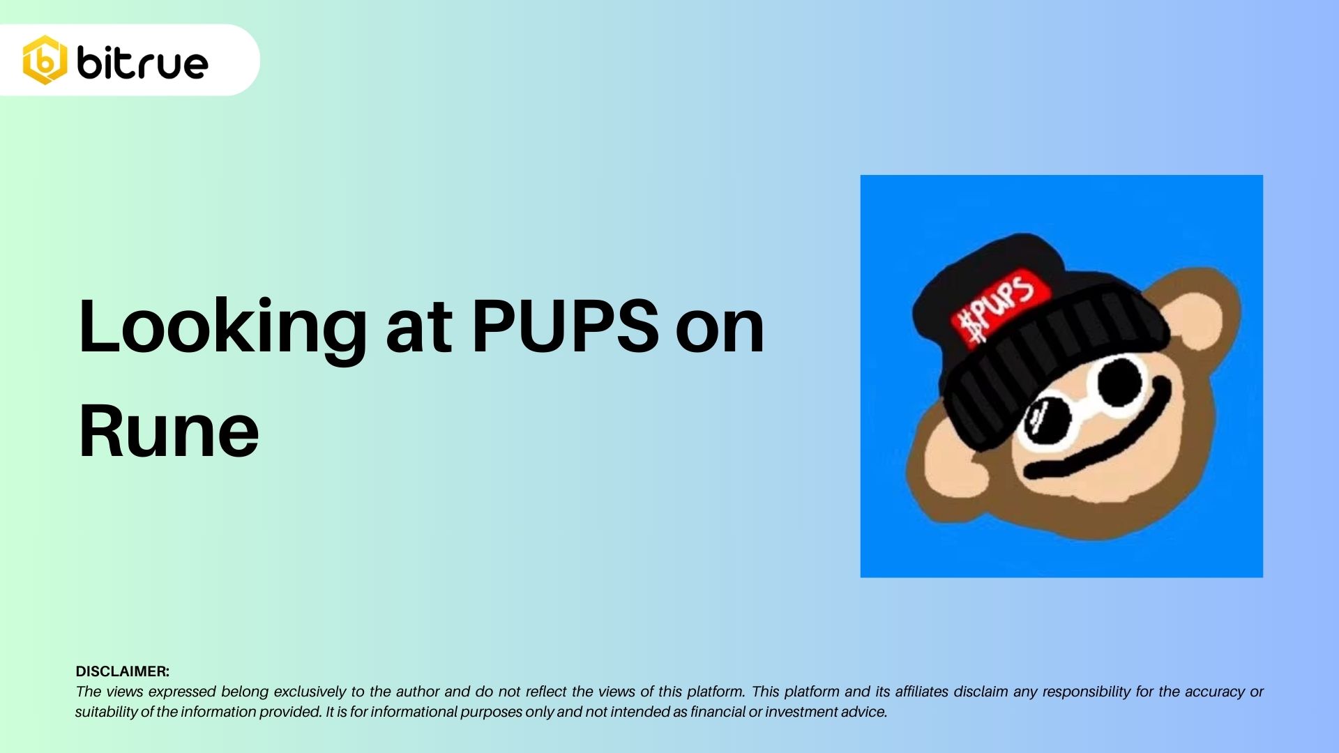 PUPS NFT Collection on Runes – Bitrue FAQ