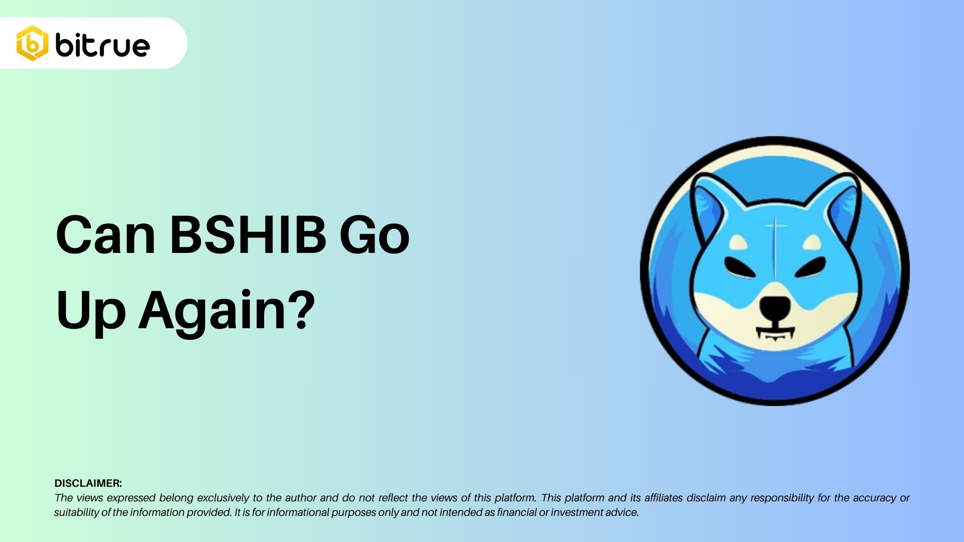Can BSHIB Go Up Again? – Bitrue FAQ