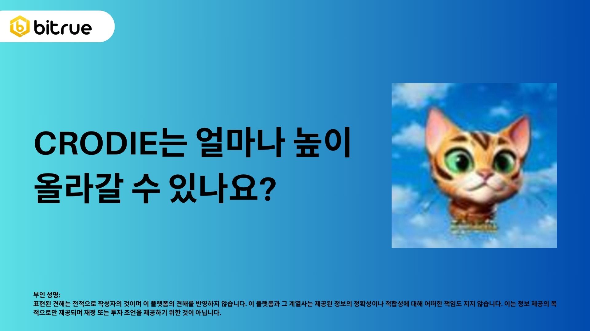 새로운 솔라나 미미 코인 크로디의 가격 분석 – Bitrue FAQ