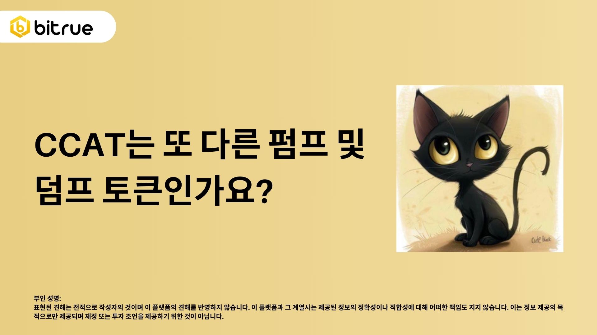 CCAT: 솔라나에서 새로운 고양이 테마의 Meme 코인 – Bitrue FAQ