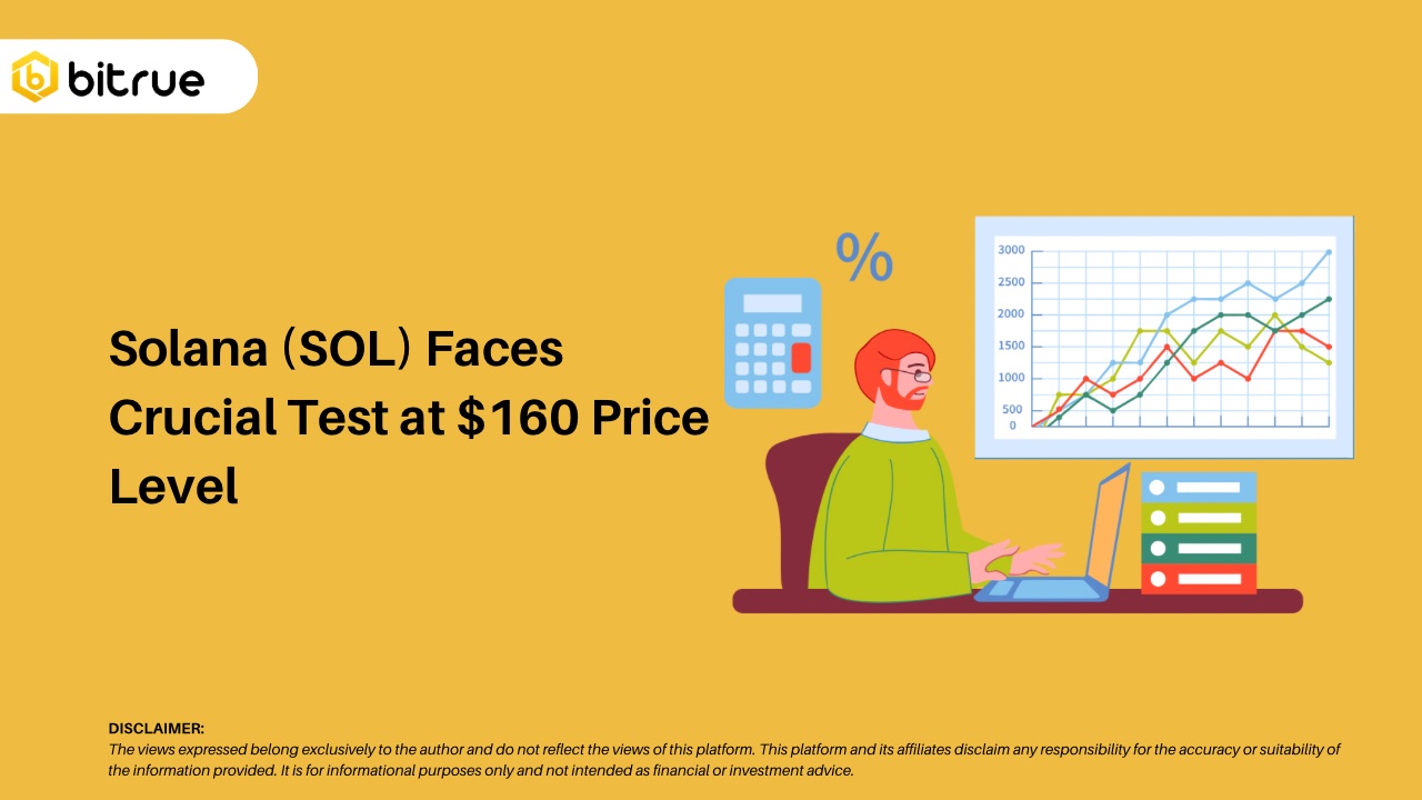 Solana (SOL) Faces Crucial Test at $160 Price Level – Bitrue FAQ