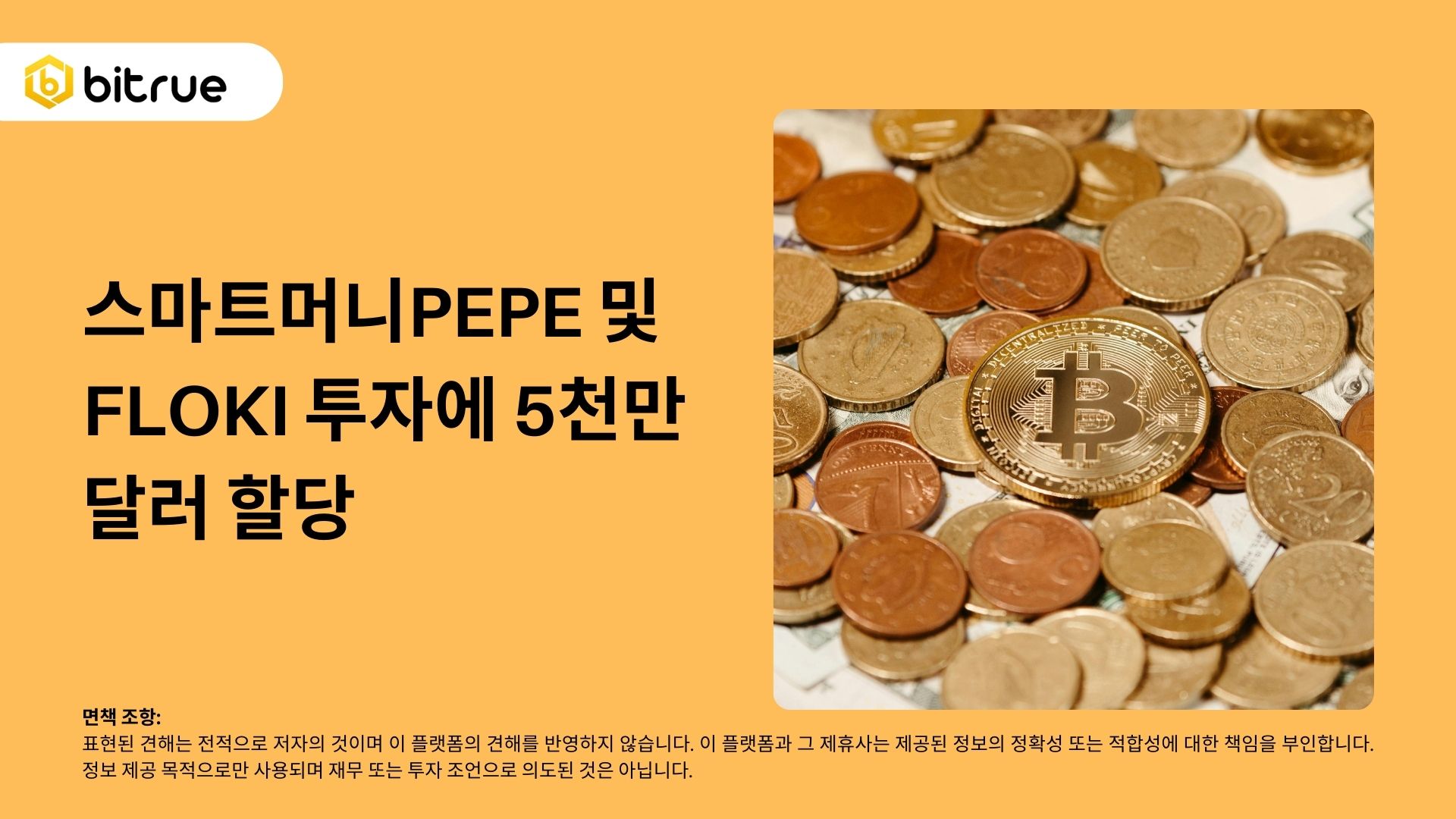 스마트머니PEPE 및 FLOKI 투자에 5천만 달러 할당 – Bitrue FAQ