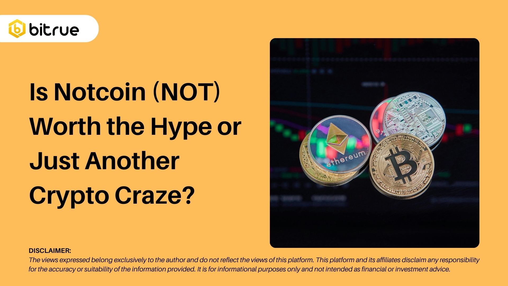Is Notcoin (NOT) Worth the Hype or Just Another Crypto Craze? – Bitrue FAQ