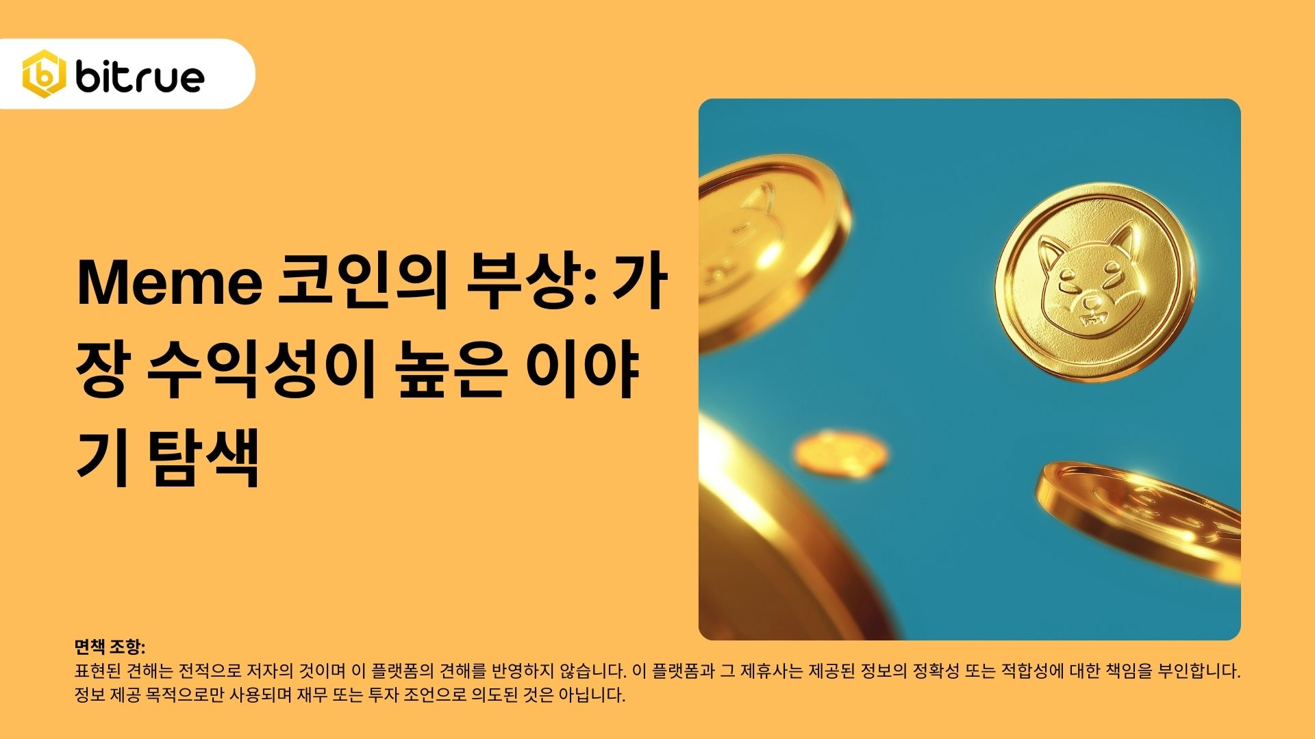 Meme 코인의 부상: 가장 수익성이 높은 이야기 탐색 – Bitrue FAQ