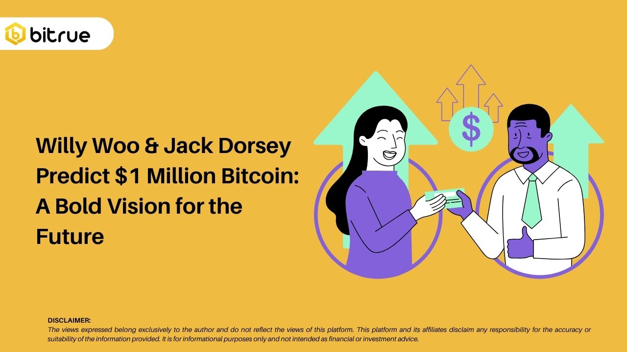 Willy Woo & Jack Dorsey Predict $1 Million Bitcoin: A Bold Vision for the  Future – Bitrue FAQ