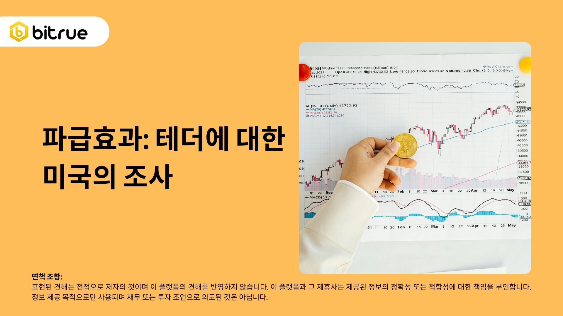 파급효과: 테더에 대한 미국의 조사 – Bitrue FAQ