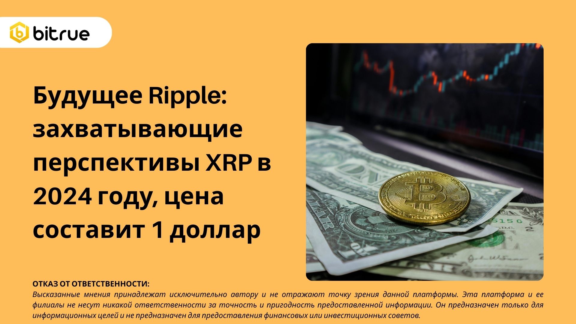 Будущее Ripple: захватывающие перспективы XRP в 2024 году, цена составит 1  доллар – Bitrue FAQ