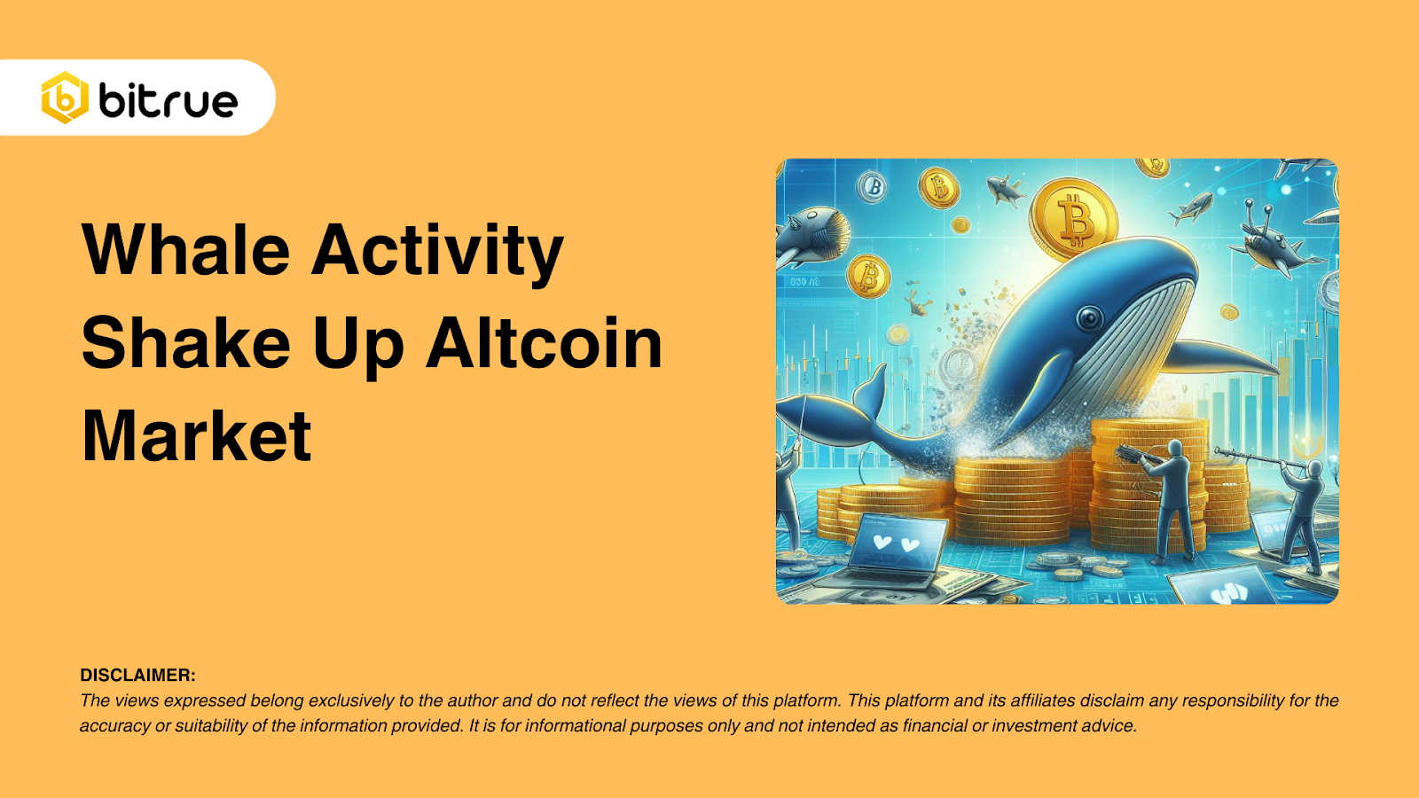 고래 활동이 알트코인 시장을 뒤흔들다 – Bitrue FAQ