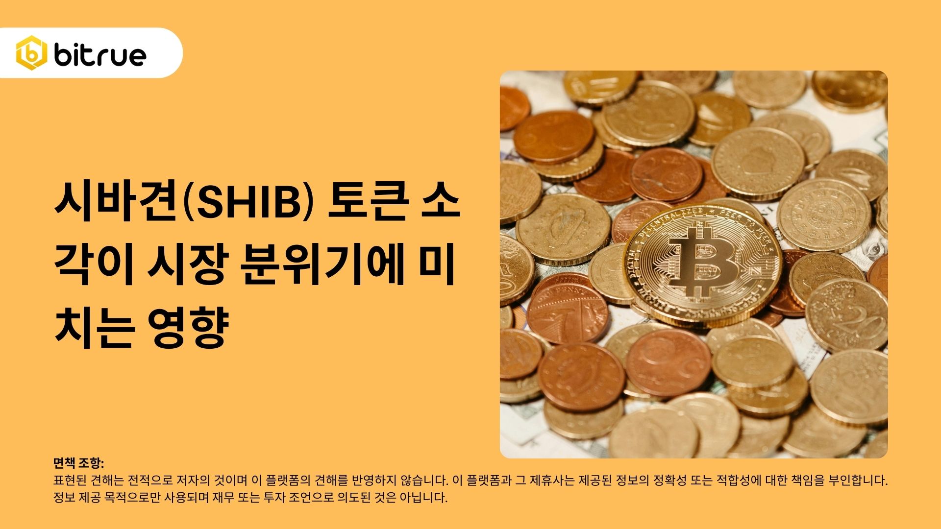 시바견(SHIB) 토큰 소각이 시장 분위기에 미치는 영향 – Bitrue FAQ