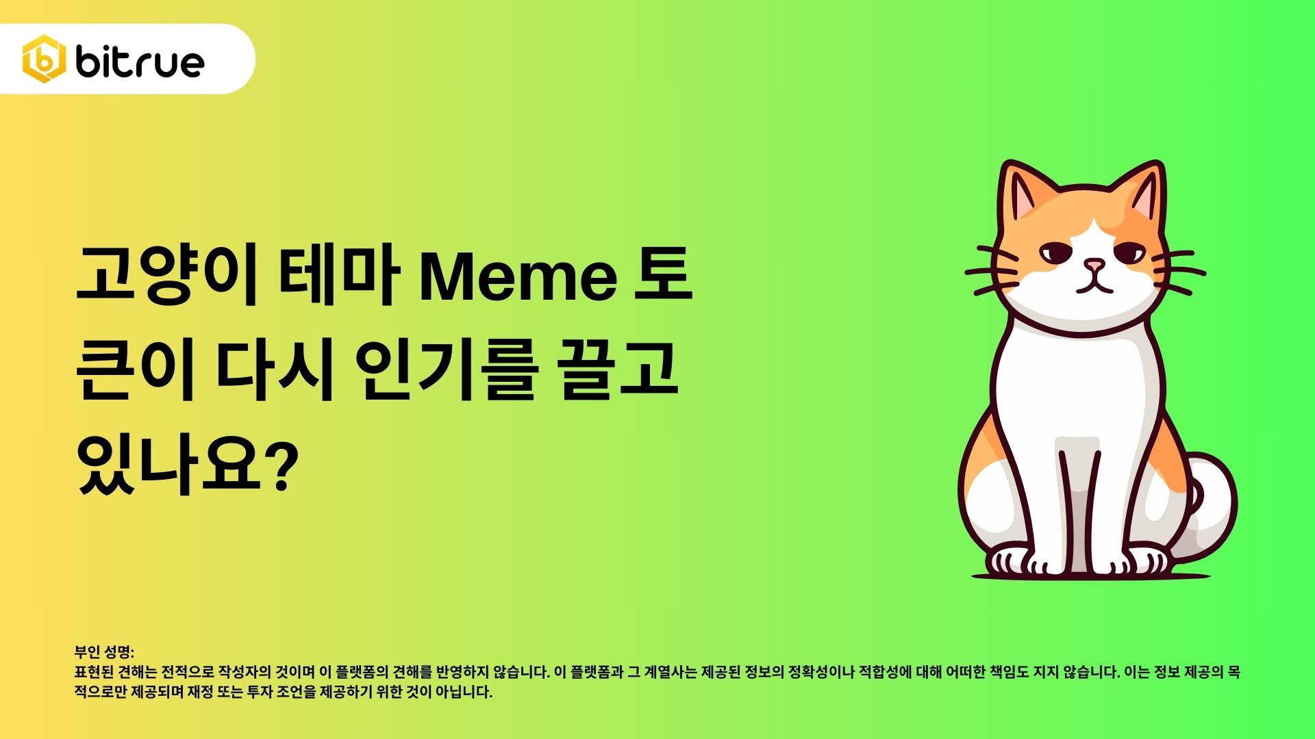 고양이 테마 밈 토큰 열풍이 다시 돌아왔나요? – Bitrue FAQ