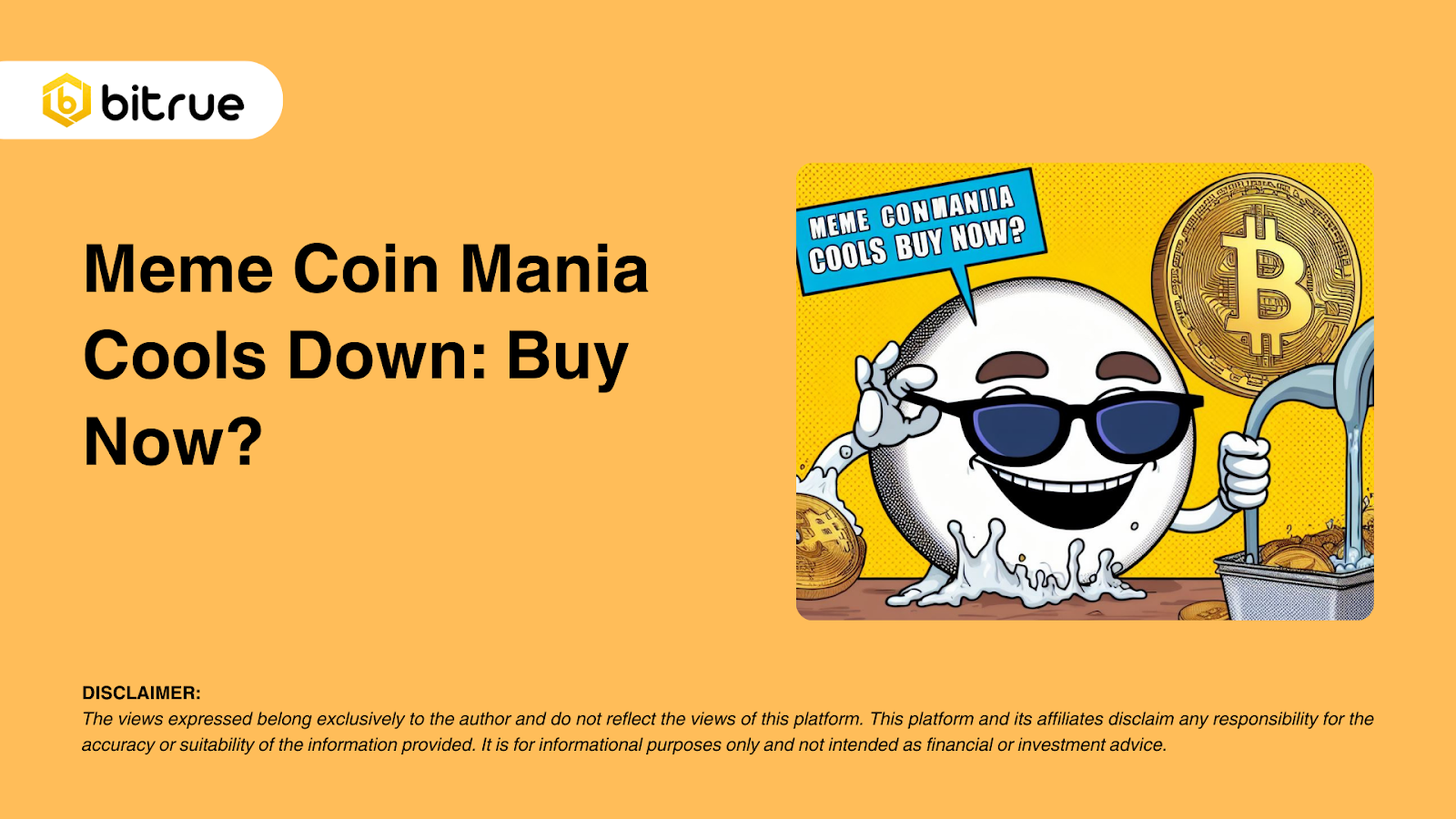 밈 코인 매니아 냉각: 지금 구매하시겠습니까? – Bitrue FAQ