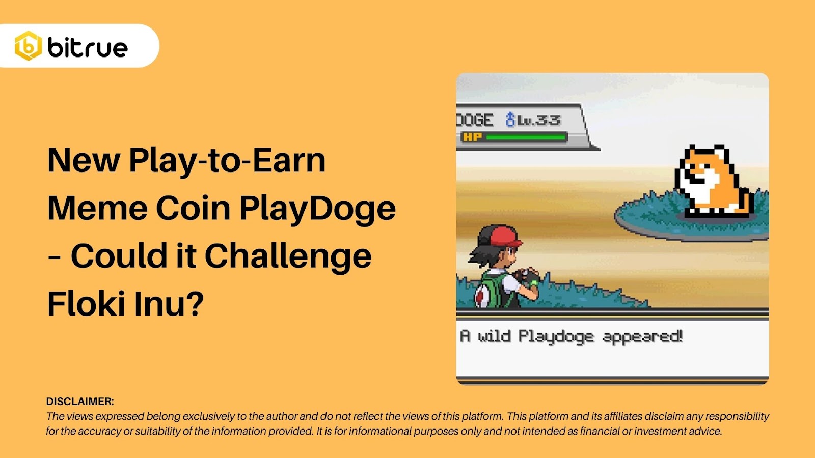 Nieuwe Play-to-Earn Meme Coin PlayDoge - Zou het Floki Inu kunnen uitdagen?  – Bitrue FAQ