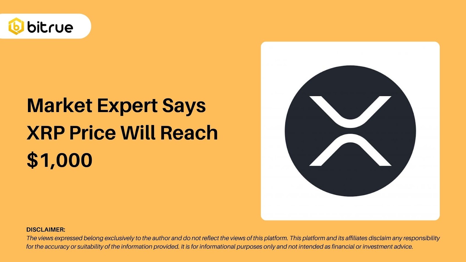 시장 전문가는 XRP 가격이 $1,000에 도달할 것이라고 말합니다. – Bitrue FAQ