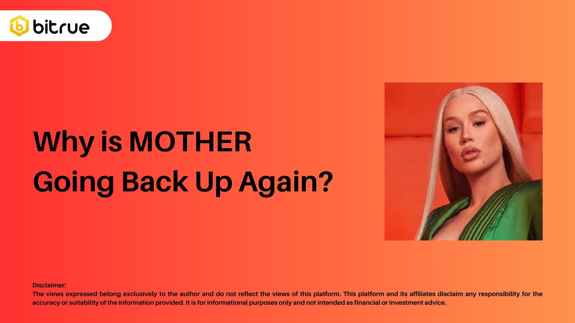 Why is MOTHER Going Back Up Again? – Bitrue FAQ