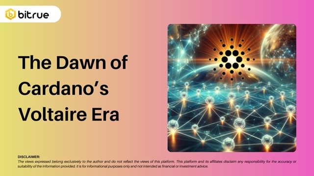 Cardano Voltaire.jpeg