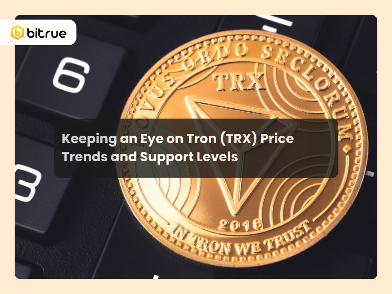 Keeping an Eye on Tron (TRX) Price Trends and Support Levels