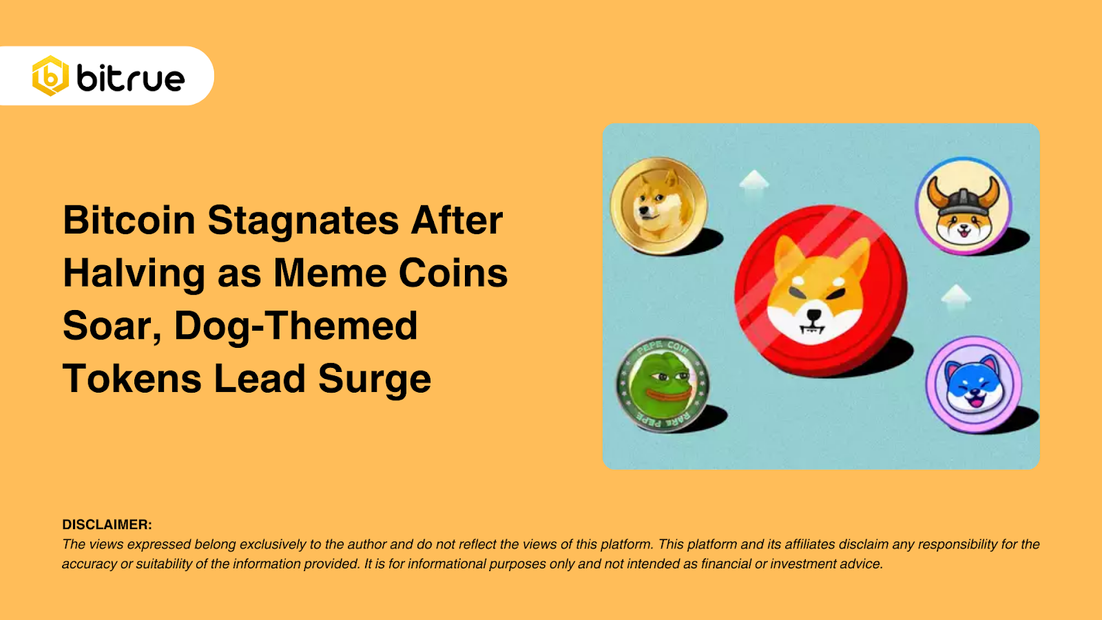 비트코인, 밈 코인 급등으로 반감기 후 정체, 개 테마 토큰 급증 주도 – Bitrue FAQ