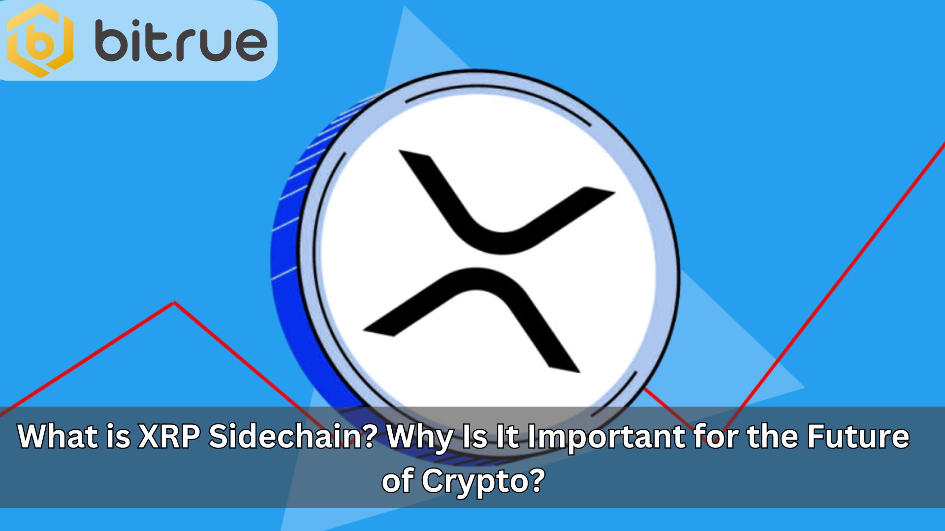 Wat is XRP Zijketen? Waarom is Het Belangrijk Voor de Toekomst van Crypto?  – Bitrue FAQ