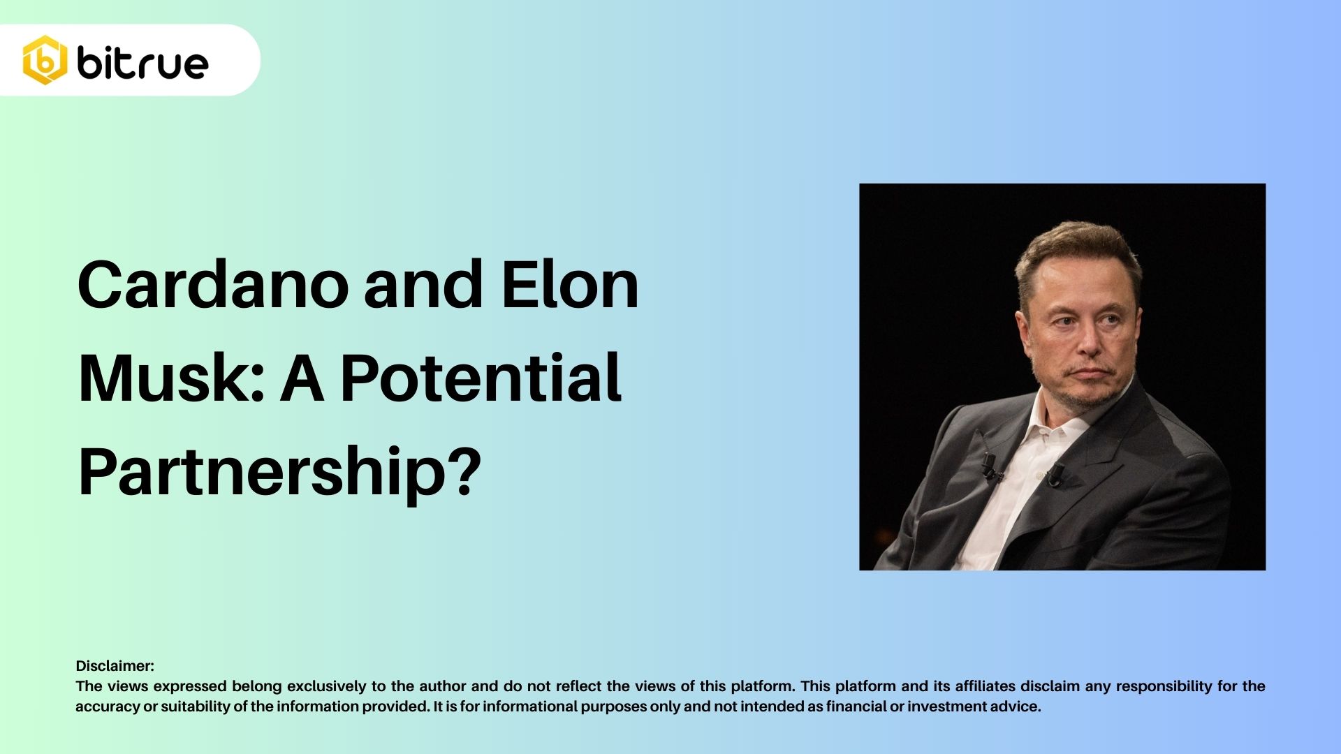 Cardano en Elon Musk: Een Potentiële Samenwerking? – Bitrue FAQ
