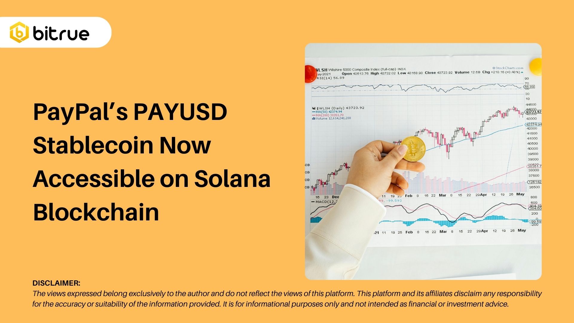 PayPal의 PAYUSD 스테이블 코인, 이제 Solana Blockchain에서 액세스 가능 – Bitrue FAQ