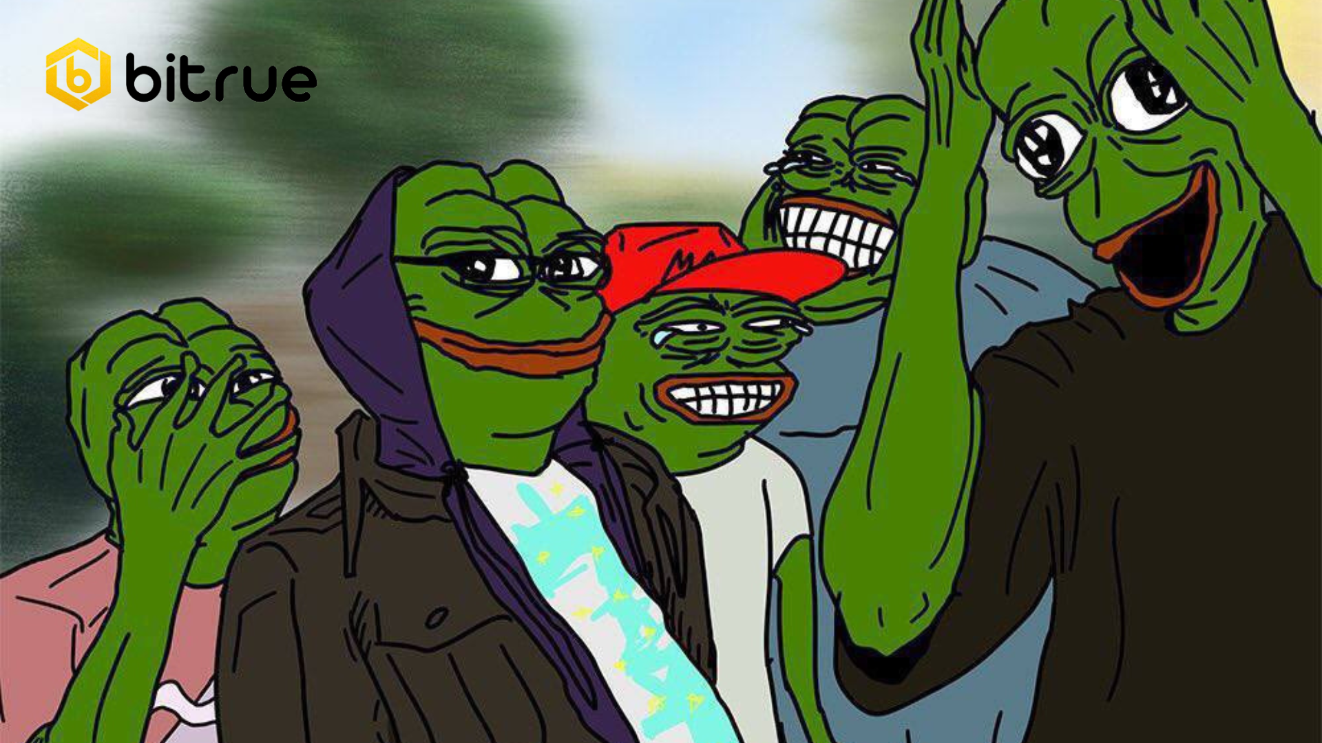 PEPE 2.0 코인이란? – Bitrue FAQ