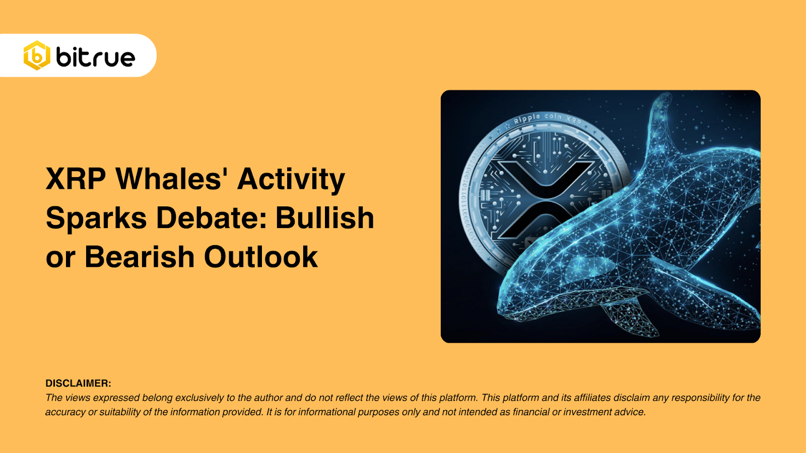 XRP 고래의 활동이 논쟁을 촉발하다: 낙관적인가 약세인가? – Bitrue FAQ