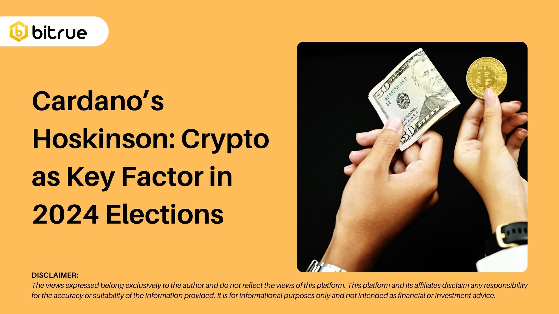 카르다노의 호스킨슨: 2024년 선거의 핵심 요소로서의 암호화폐 – Bitrue FAQ