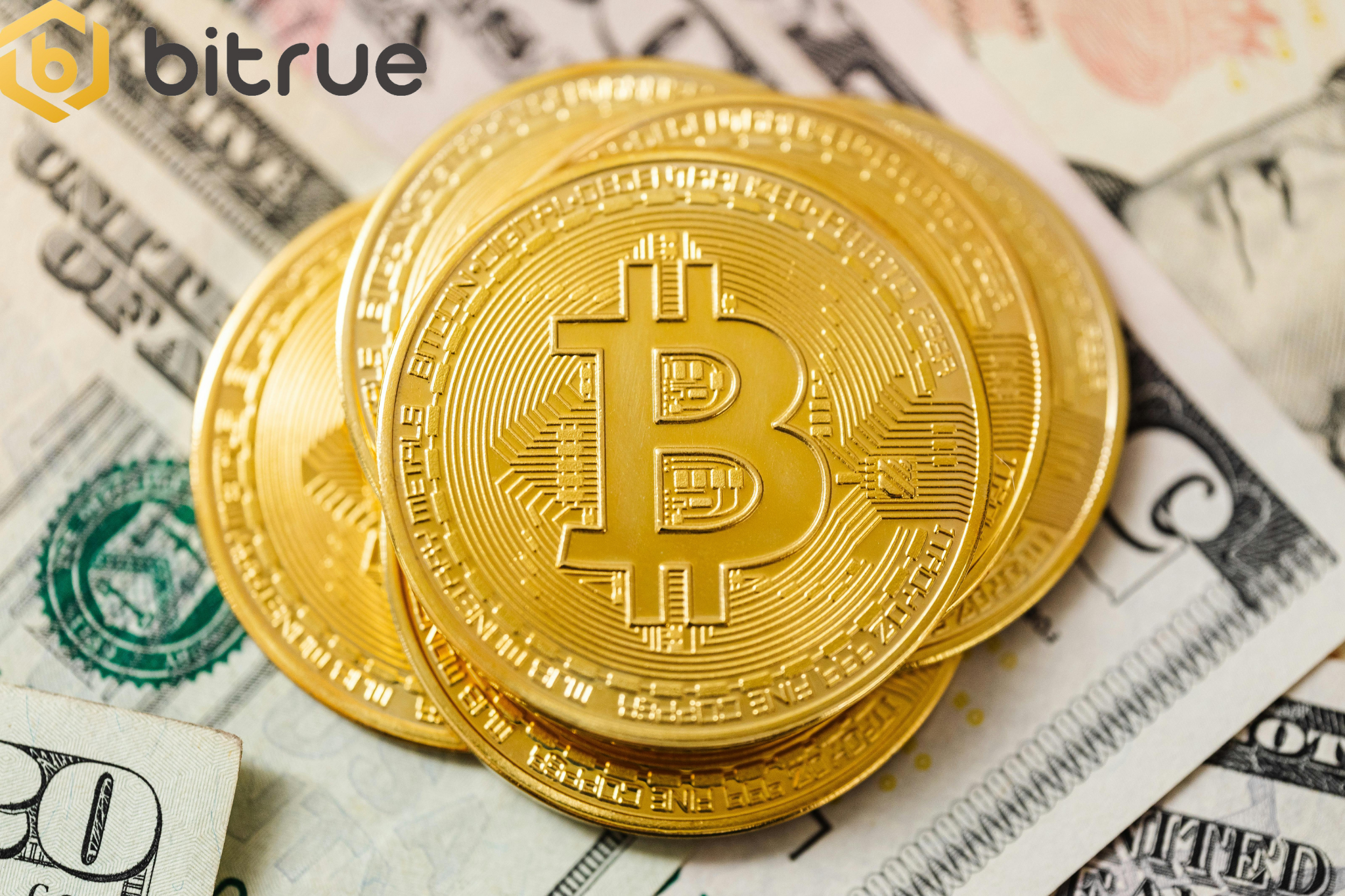 암호화폐로 돈을 버는 방법에 대한 종합 가이드 – Bitrue FAQ