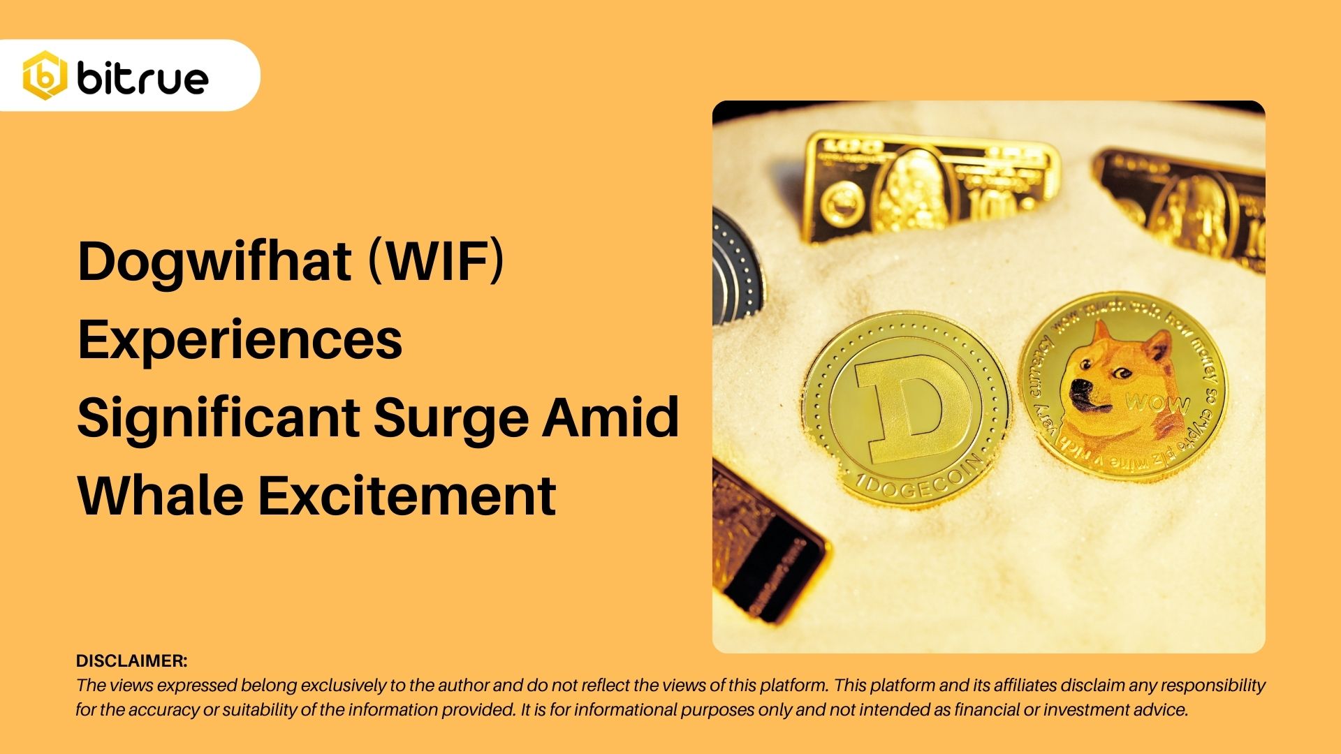 Dogwifhat(WIF)은 고래의 흥분 속에서 상당한 급증을 경험합니다. – Bitrue FAQ