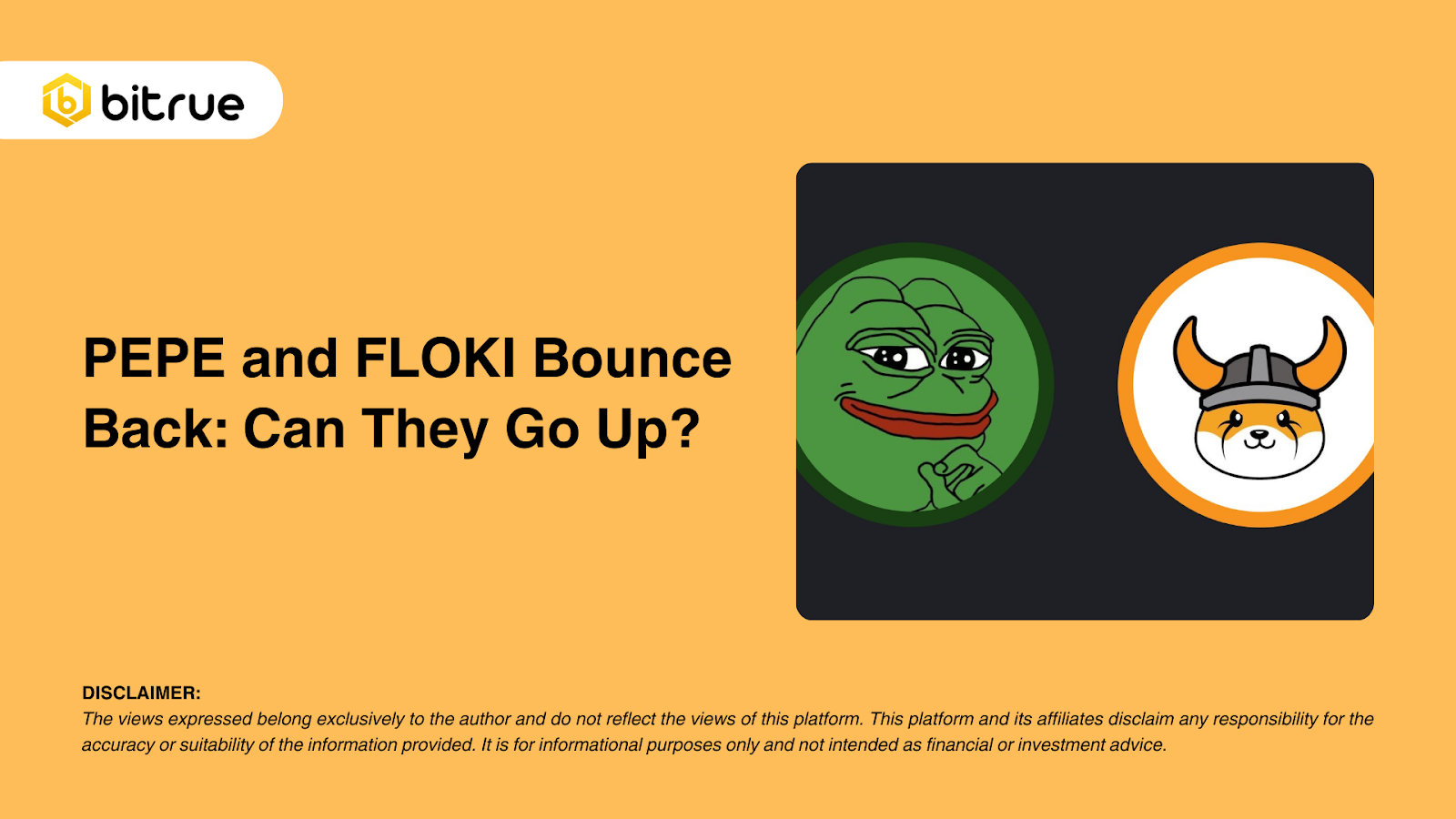 PEPE와 FLOKI의 반등: 더 올라갈 수 있을까요? – Bitrue FAQ