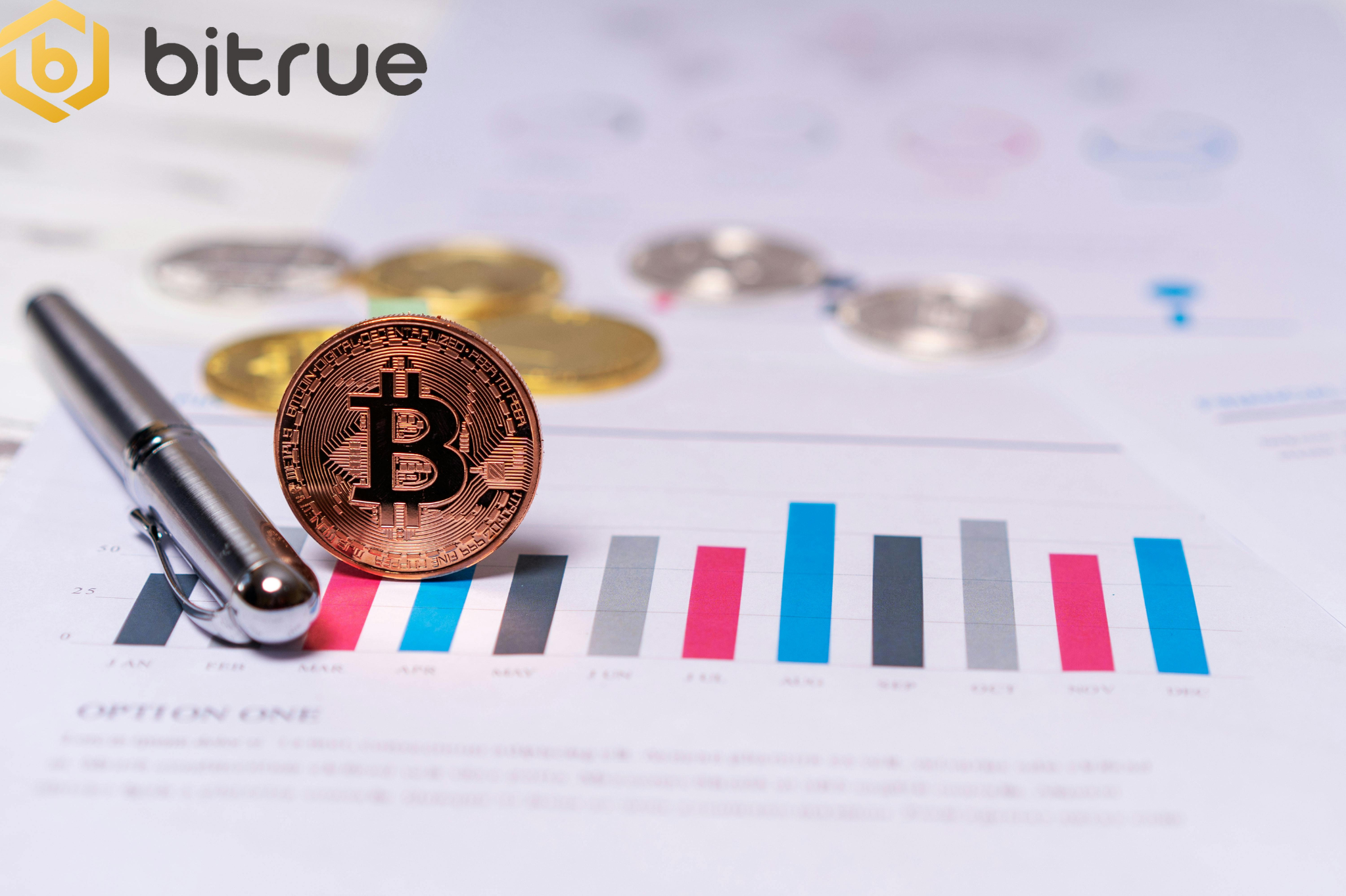 밈 코인과 공공재: 솔라나 공동 창업자의 회의론 – Bitrue FAQ