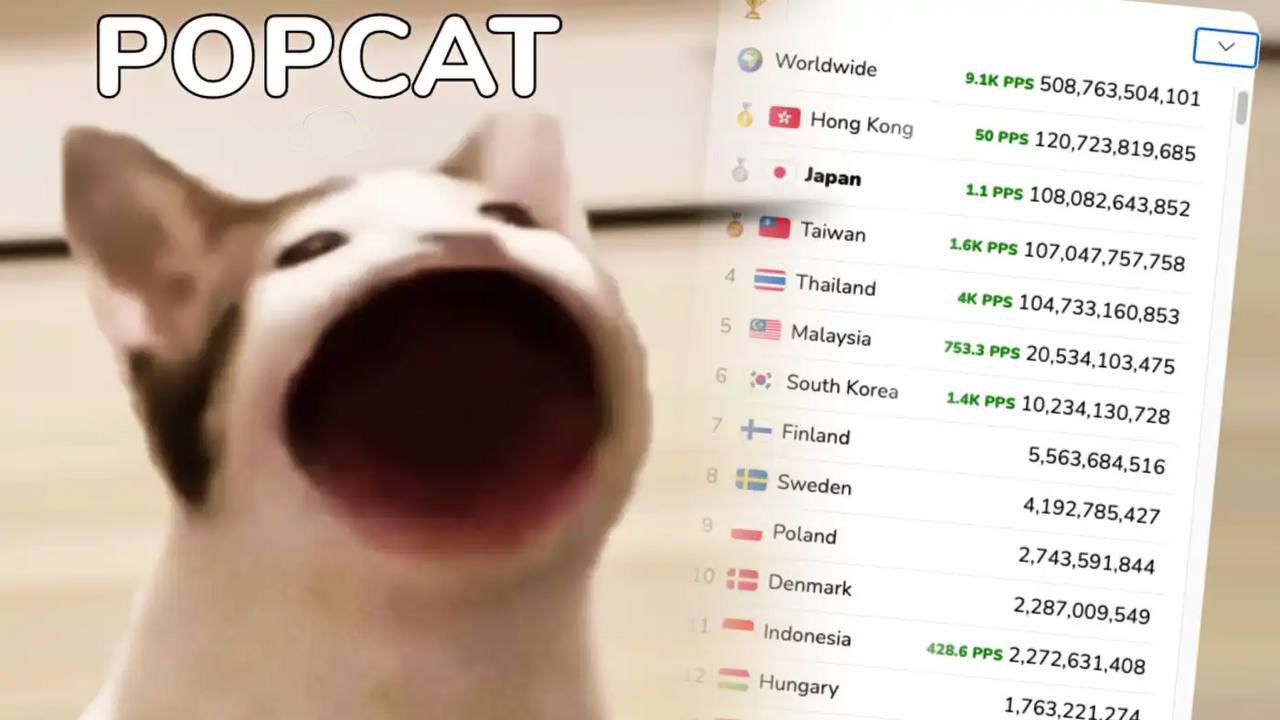 솔라나에서의 고양이 테마의 미미 코인 열풍: MEW와 POPCAT – Bitrue FAQ