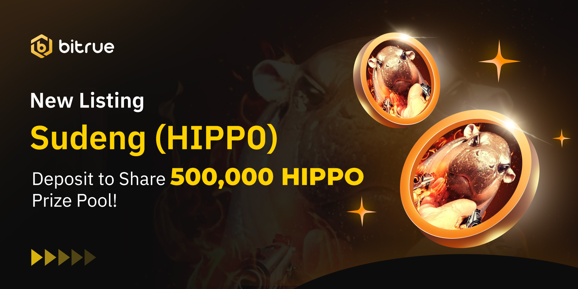 Bitrue Will List Sudeng (HIPPO) – Bitrue FAQ