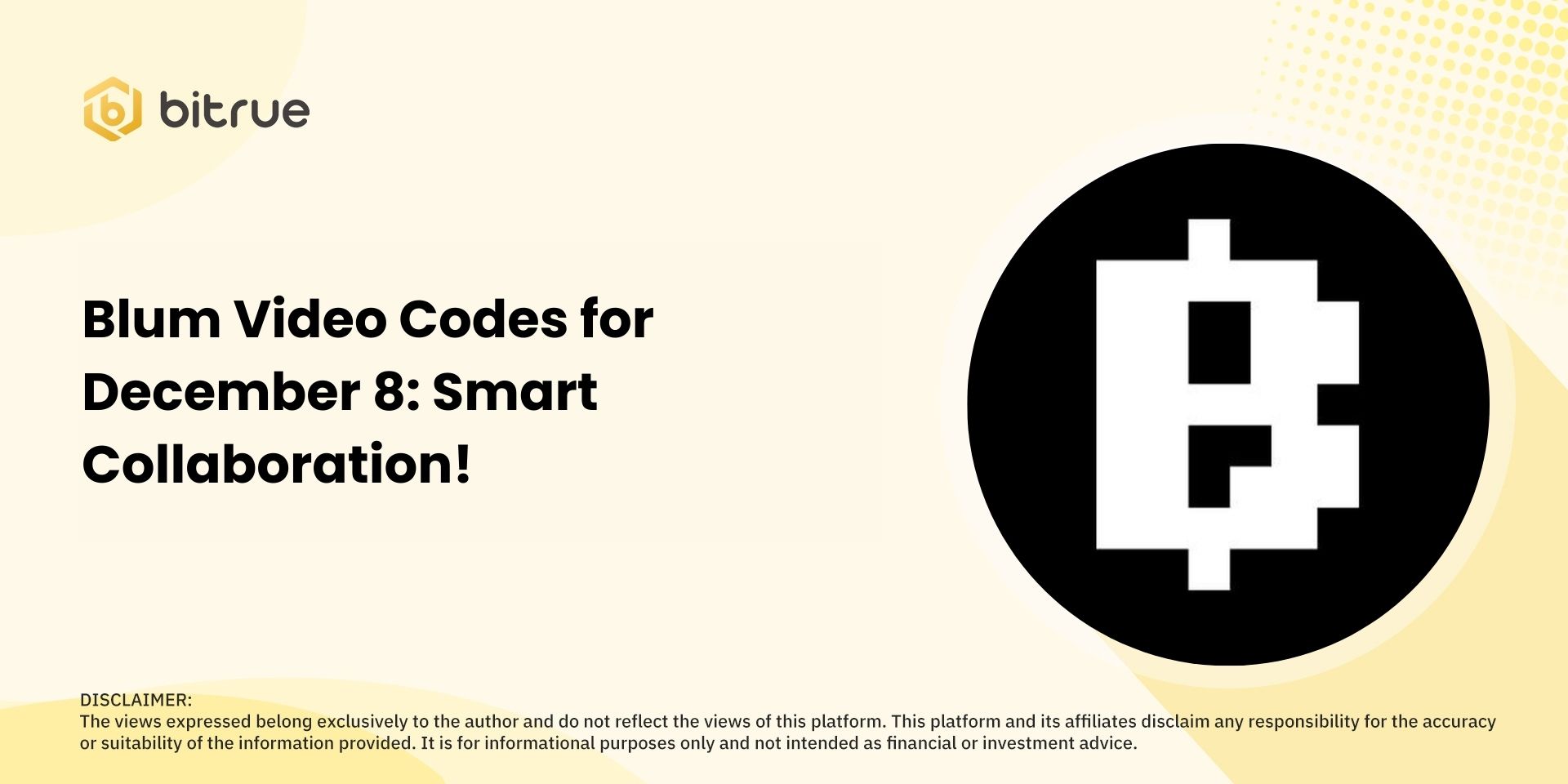 Blum Video Codes December 8.jpg