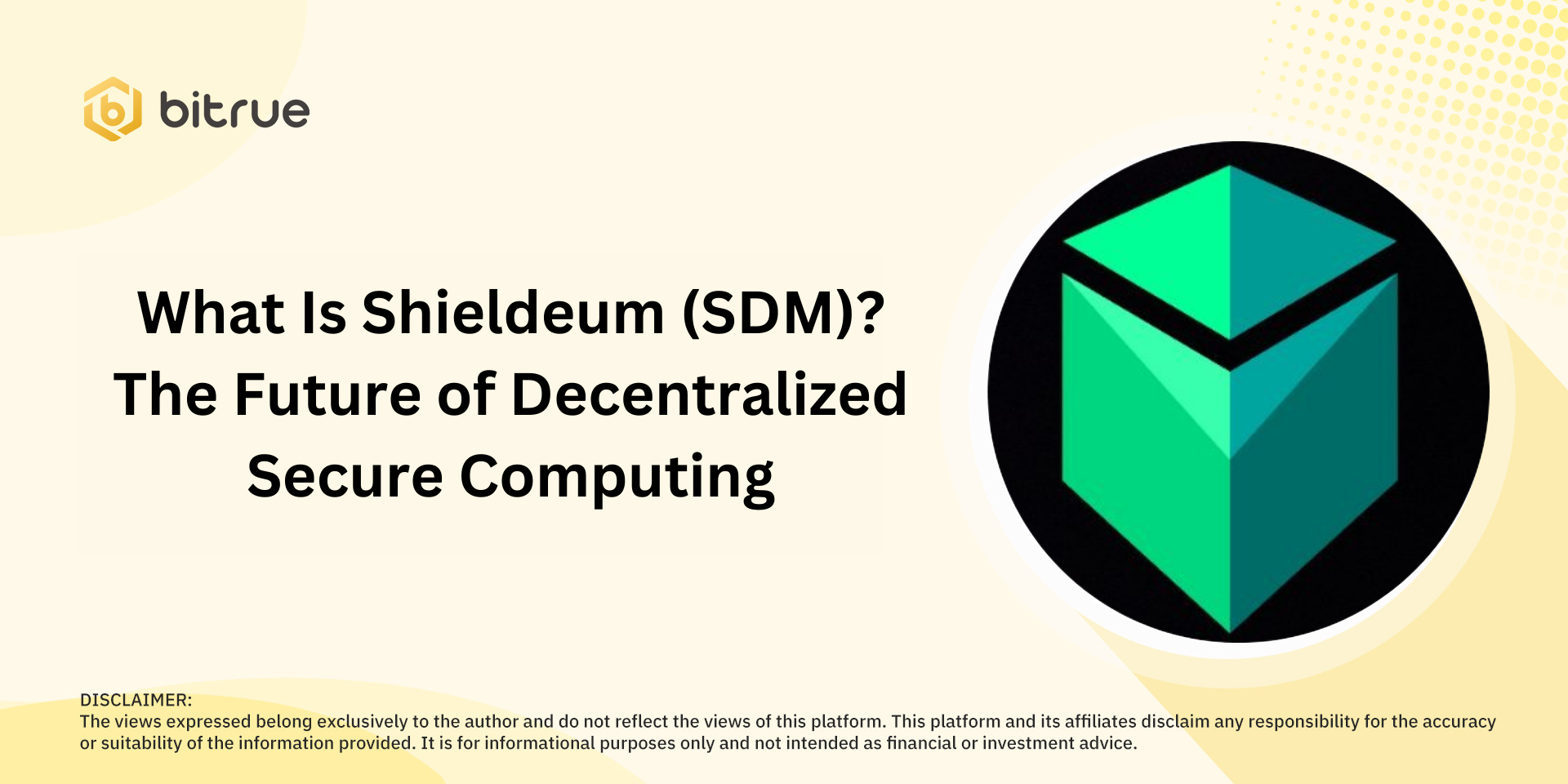 What Is Shieldeum (SDM) The Future of Decentralized Secure Computing.png