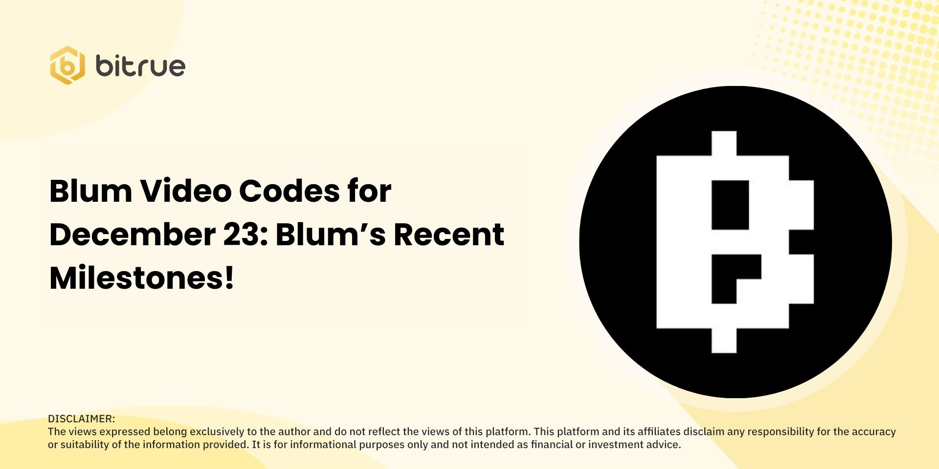 Blum Video Codes December 23.jpg