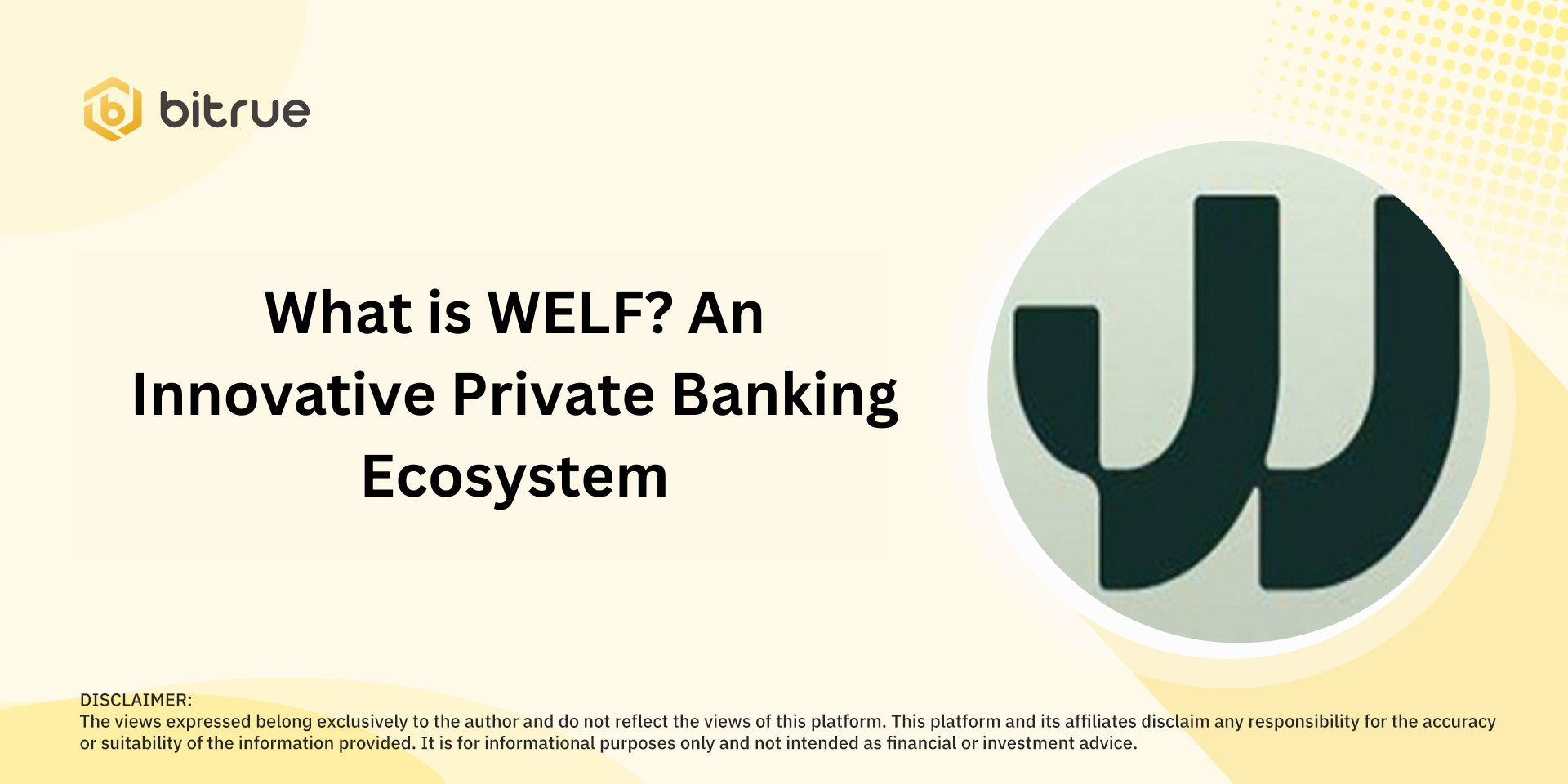 WELF Nedir? Yenilikçi Özel Bankacılık Ekosistemi.png