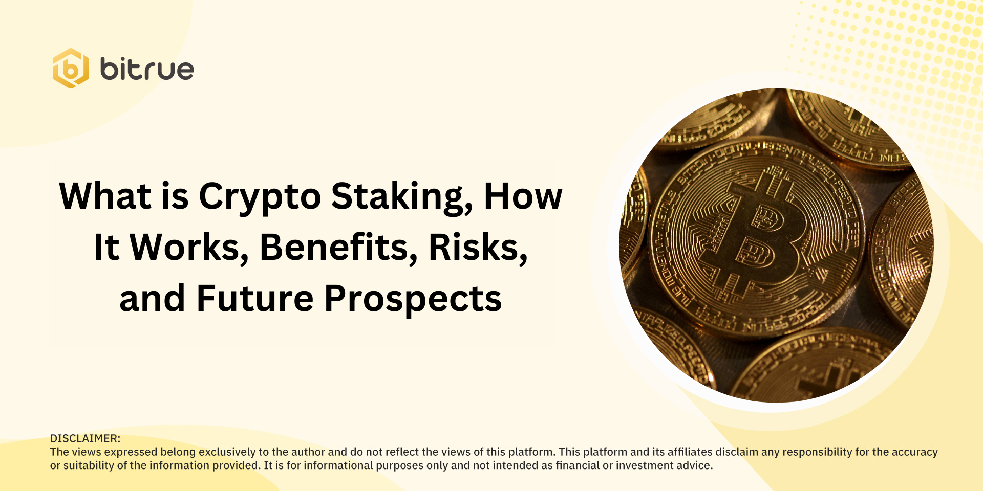 Kripto Staking Nedir, Nasıl Çalışır, Faydaları, Riskleri ve Gelecek Beklentileri.png
