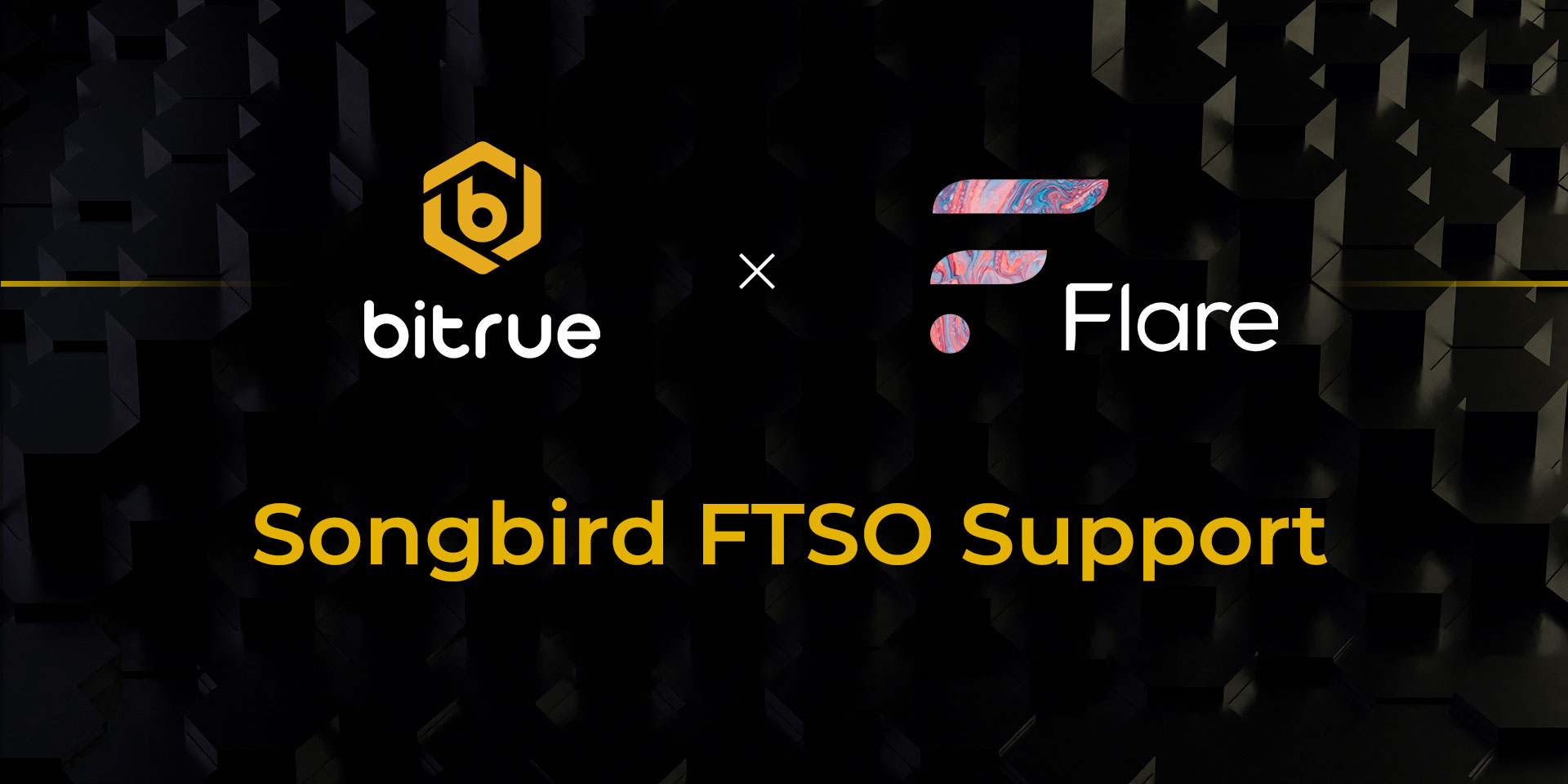 12.3_Songbird_FTSO_Support.jpg