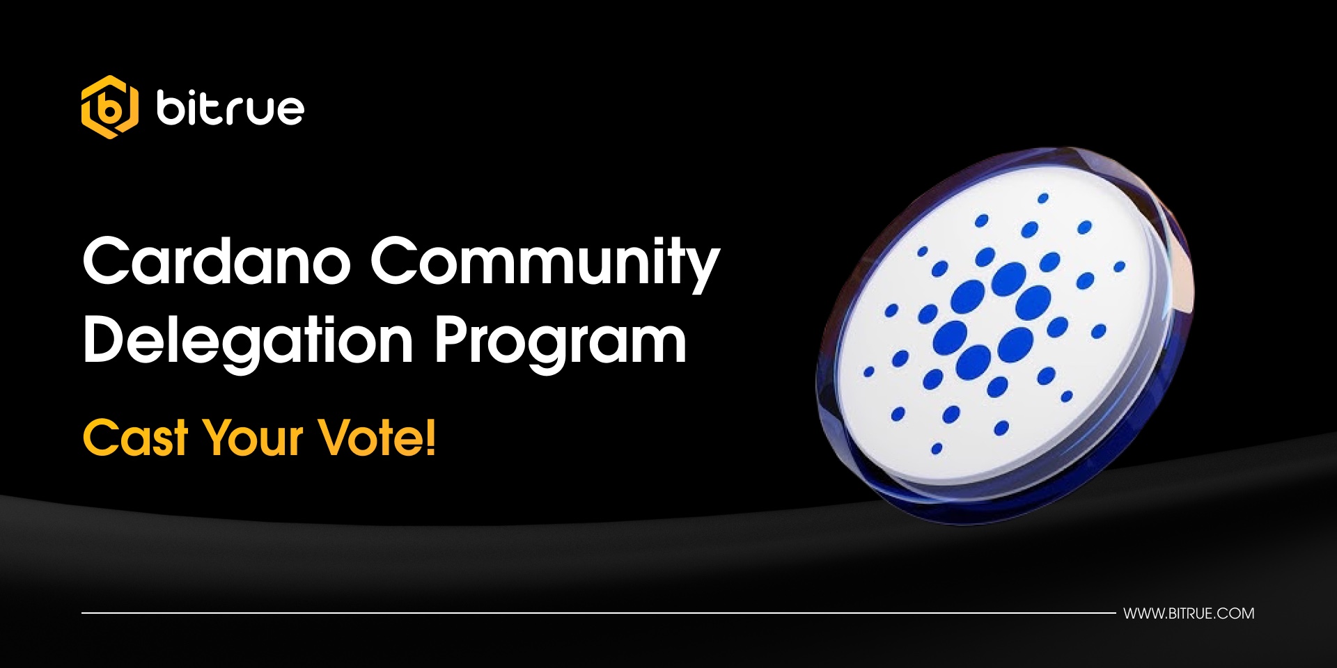 Cardano Community Delegation Program.jpg