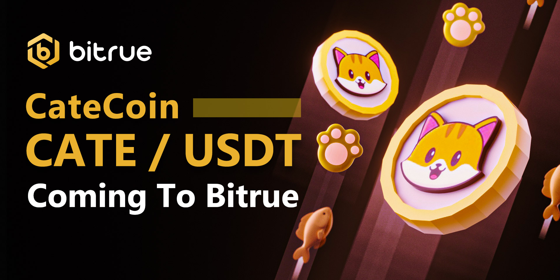 CateCoin CATE is the Newest Addition to Bitrue Bitrue FAQ