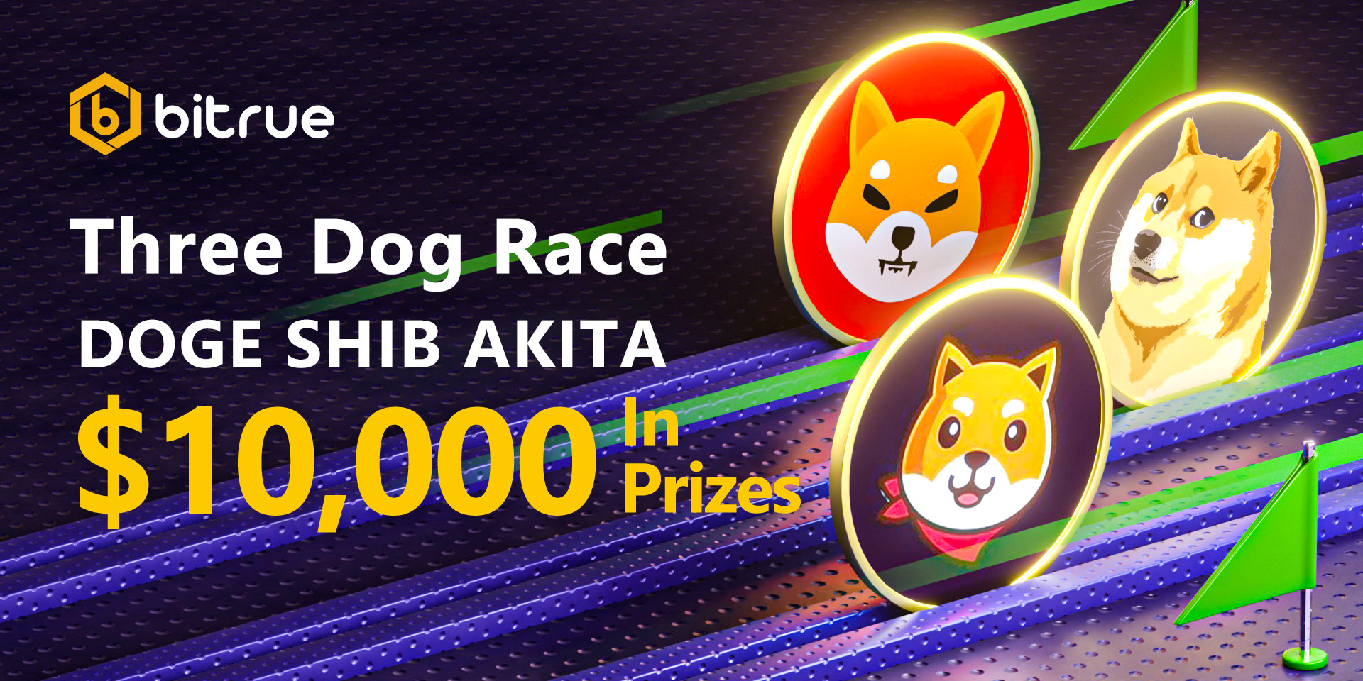 5.8_3_Dog_Race.jpg